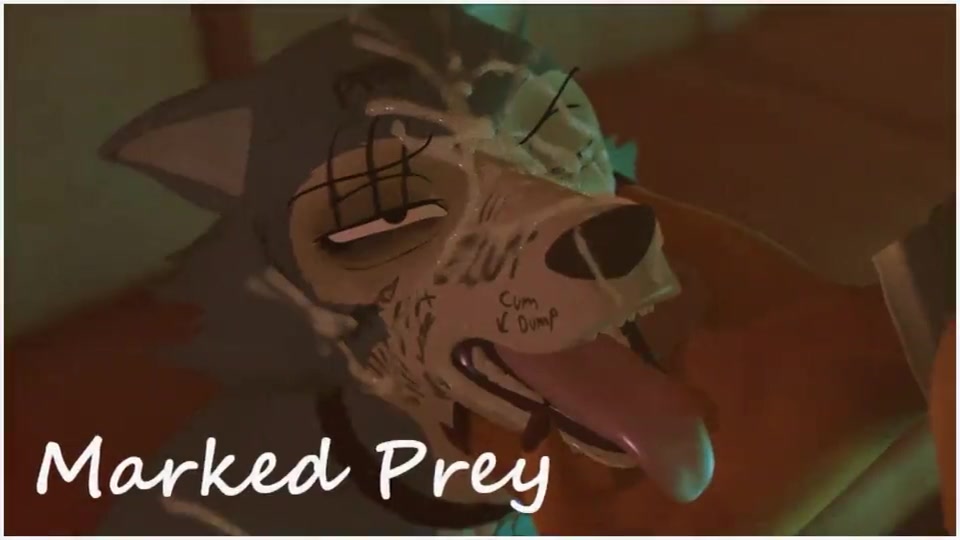 身负重伤也要当好斐济北啊~！